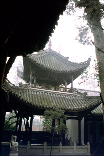 chen2-4