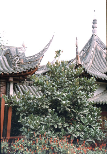 chen2-7