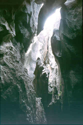 dali-16