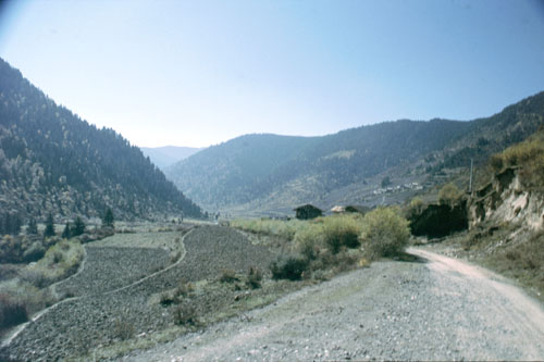 song-10