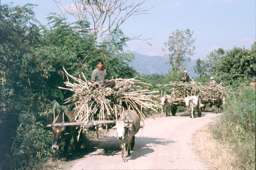 Inle-15