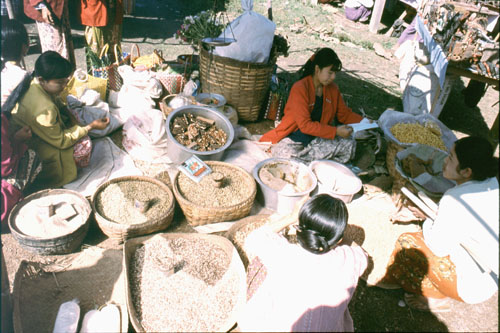 Inle-19