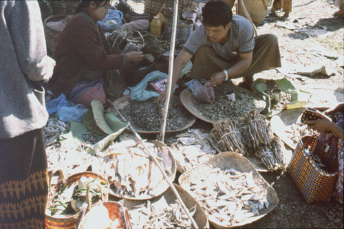 Inle-20