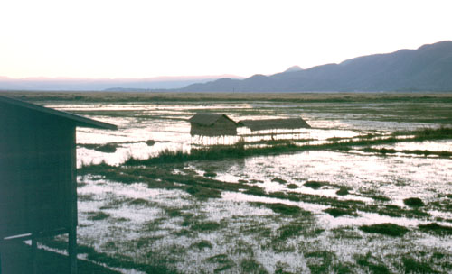 Inle-23