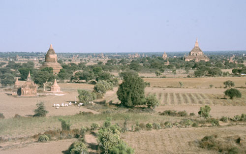 bagan-5