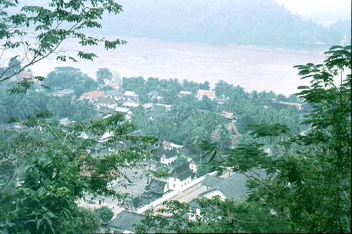 laom-5