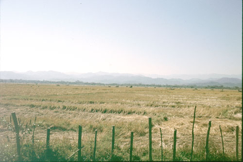 laon-1