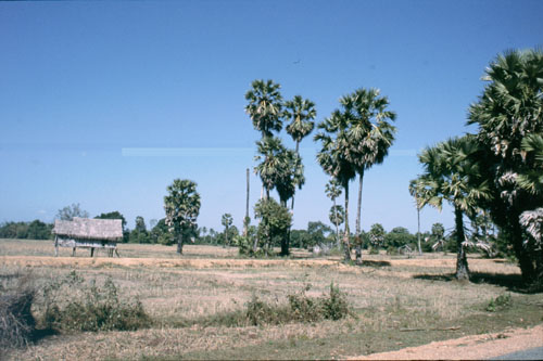 laos-4