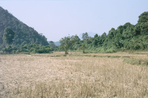 loam-19