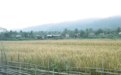 loan-3