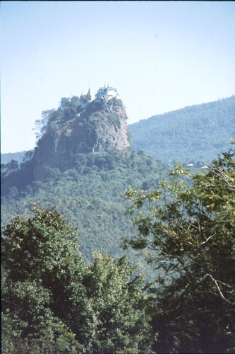 popa-1
