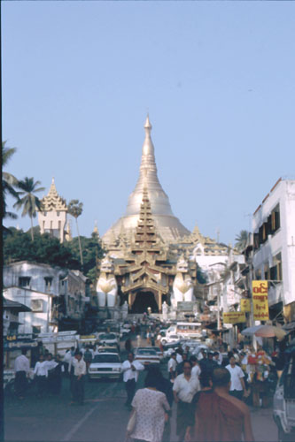 shwe-1