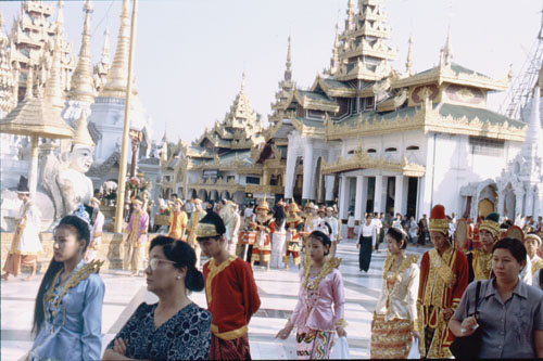 shwe-3