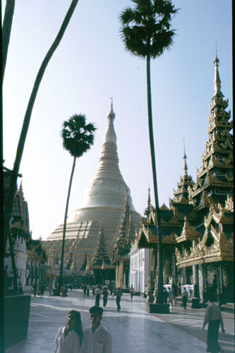 shwe-6