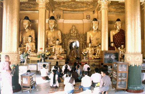 shwe-7