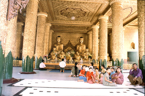 shwe-8