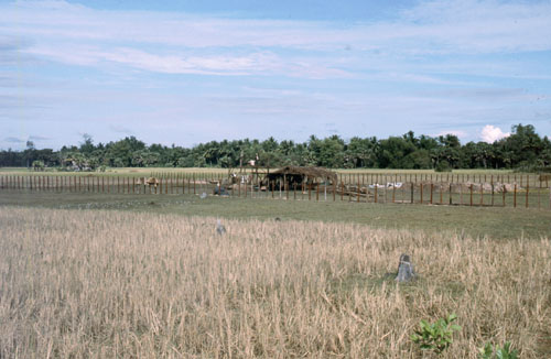 sthom-4