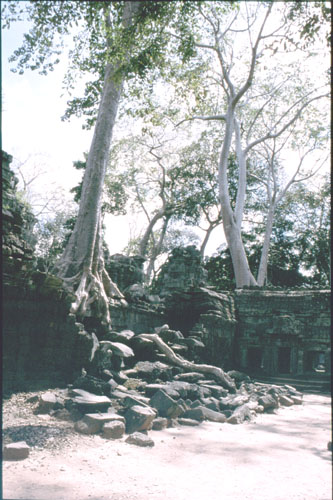 xthom-12