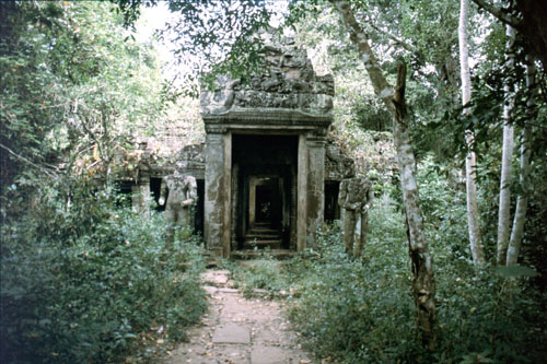 xthom-19