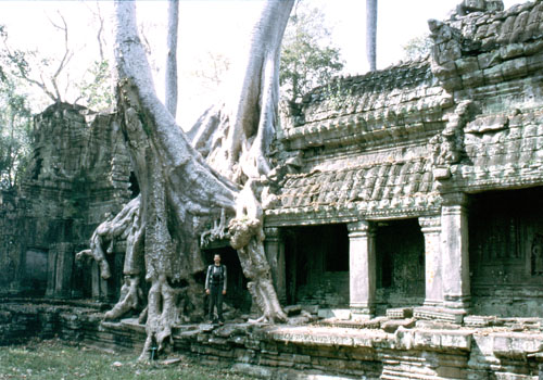 xthom-22